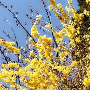 Meet your Posher, Ellexa